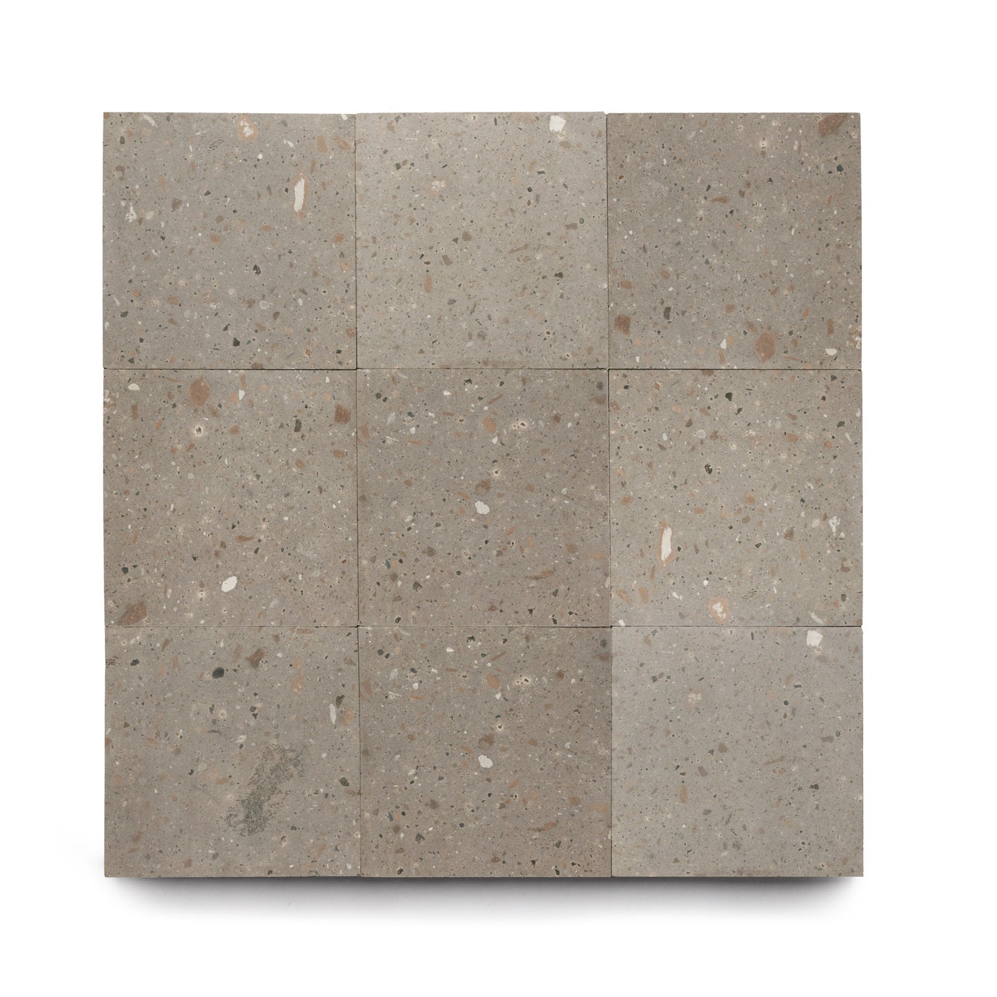 Nine Badlands 12x12 tiles by Zia Tile are arranged in a 3x3 grid, showcasing a speckled light gray volcanic stone surface with white, brown, and dark gray flecks naturally distributed throughout.
