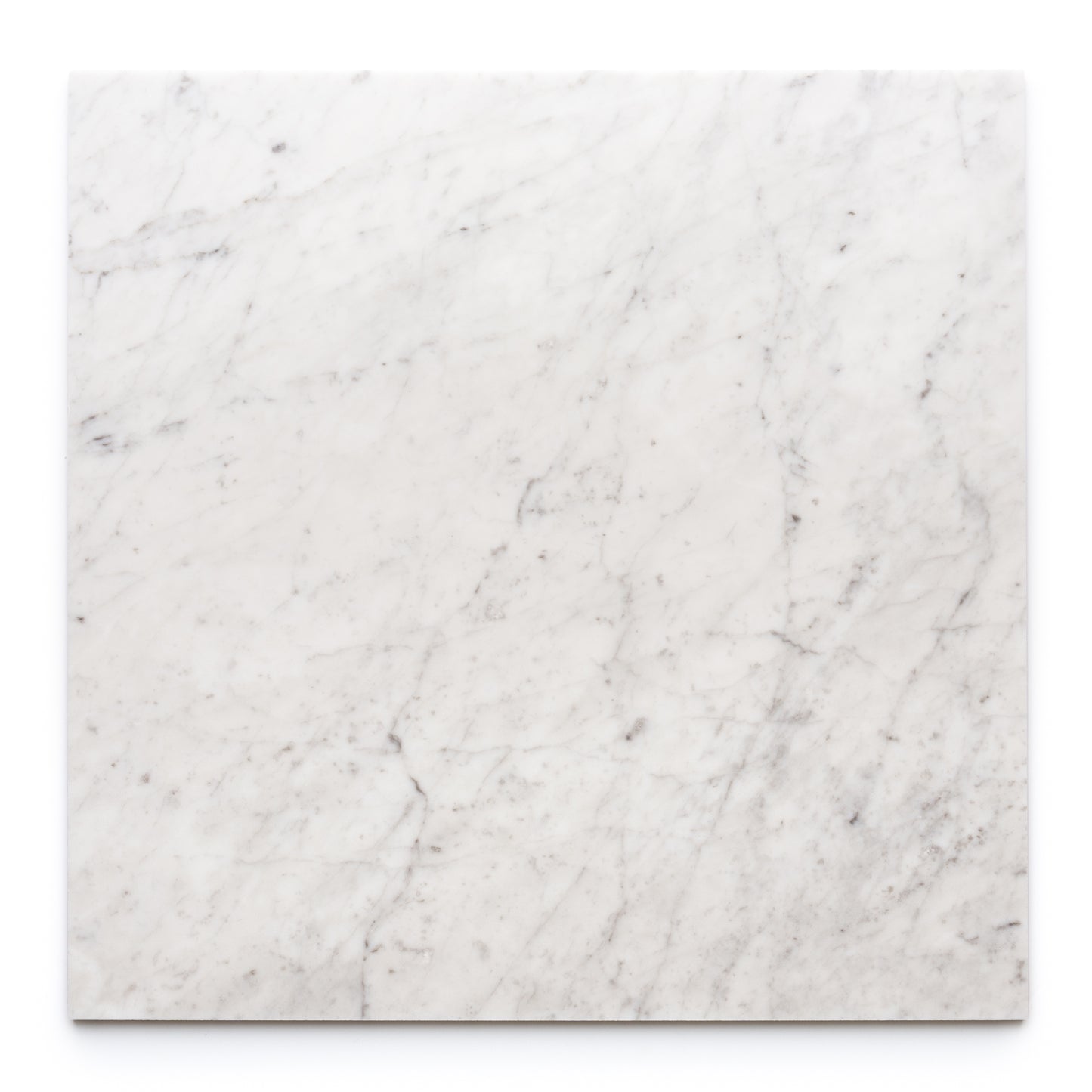 The Carrara 24x24 by Zia Tile is a square white marble slab with subtle gray veining, evoking the look of handmade tile, shown against a white background.