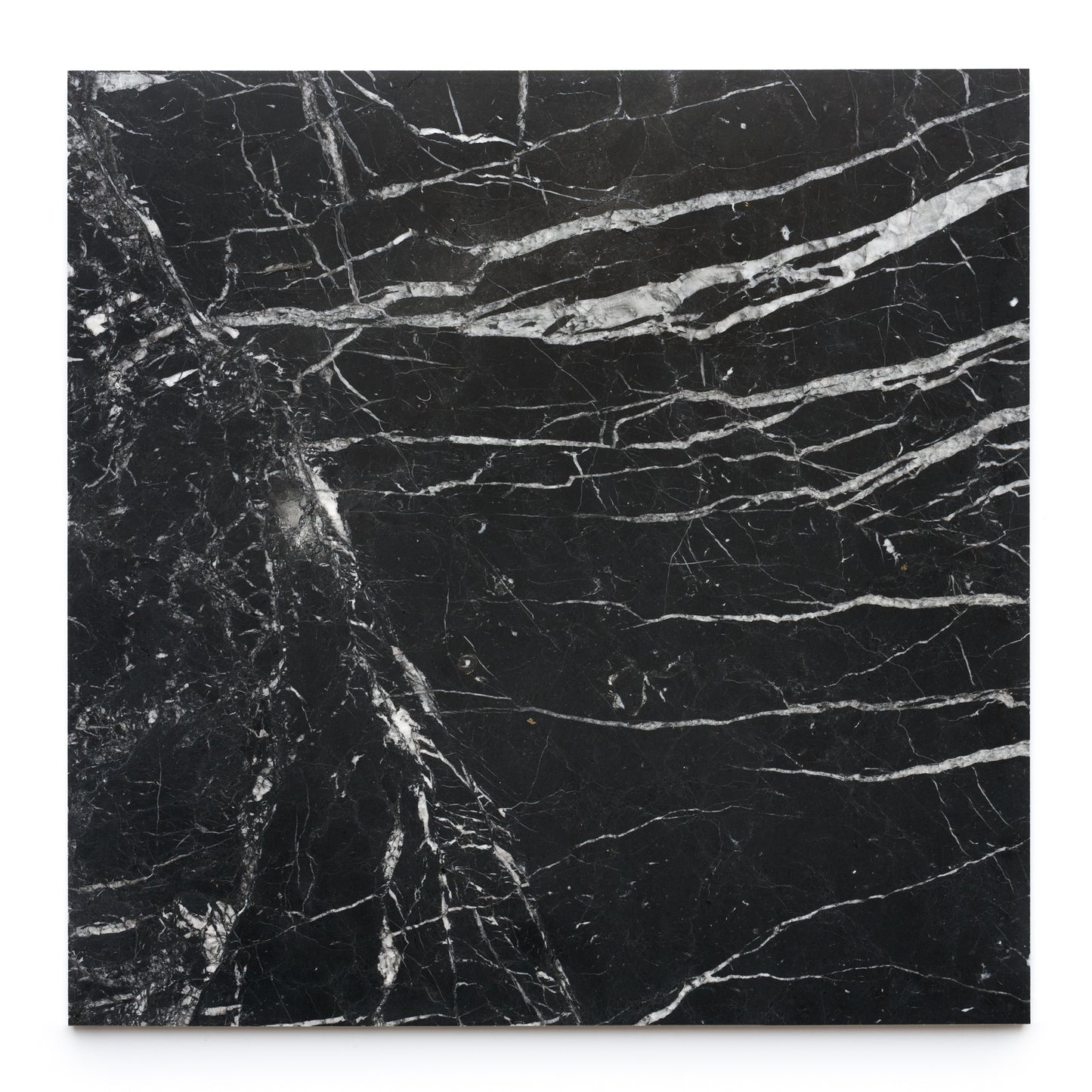 The Zia Tile Nero Marquina 24x24 features a polished black marble look with irregular white veins and diagonal streaks, creating a striking, natural pattern reminiscent of handmade tile.