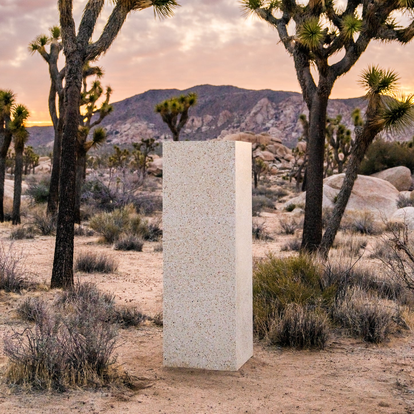 The Sputnik 24x24 by Zia Tile, a rectangular light-toned tile, stands upright in a desert scene with Joshua trees, dry grass, and rocky mountains at sunset.