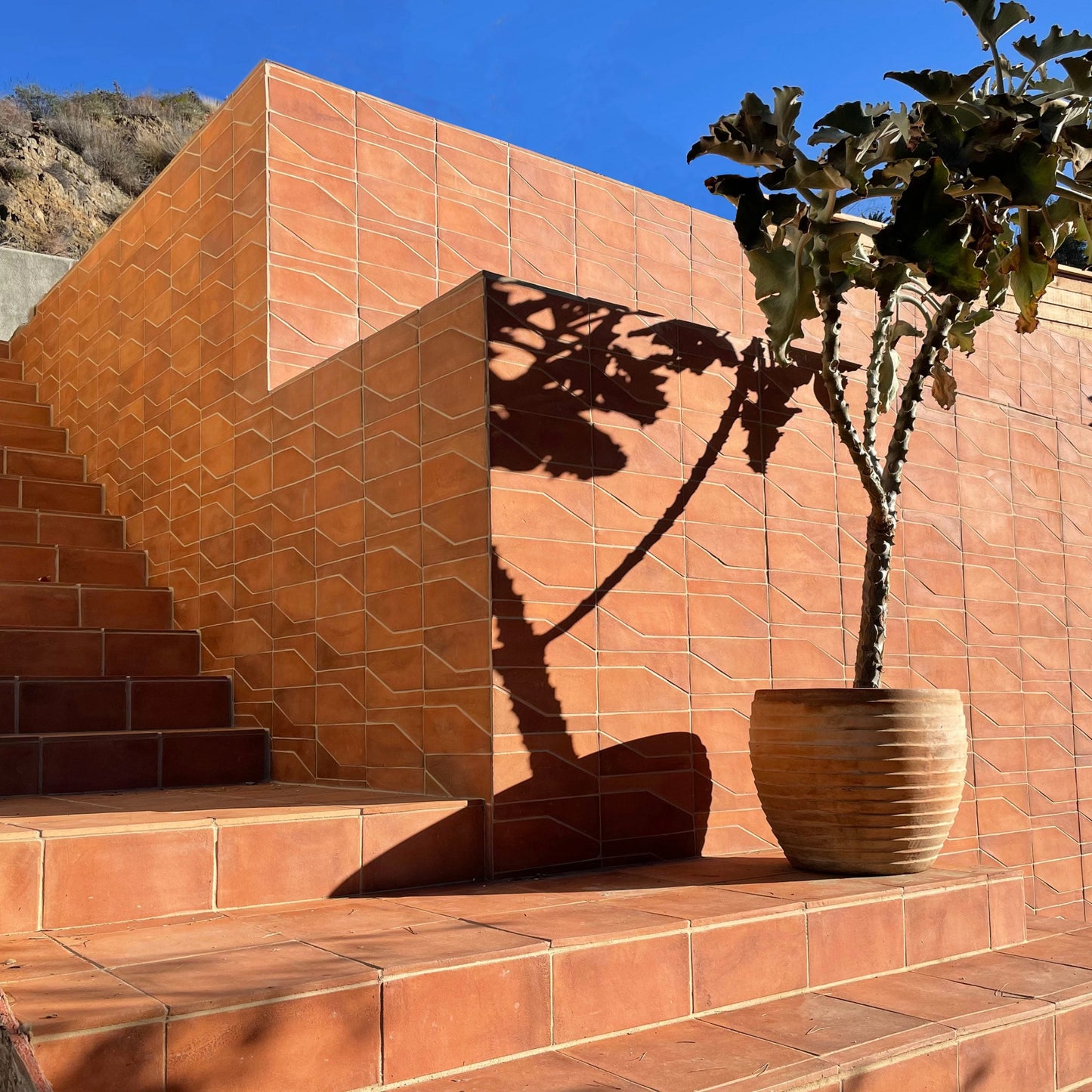 A potted cactus casts a sharp shadow on Zia Tiles Zocalo + Red Clay terracotta-tiled stairs and walls, under a clear blue sky with a hillside backdrop, evoking the charm of San Miguel de Allende.