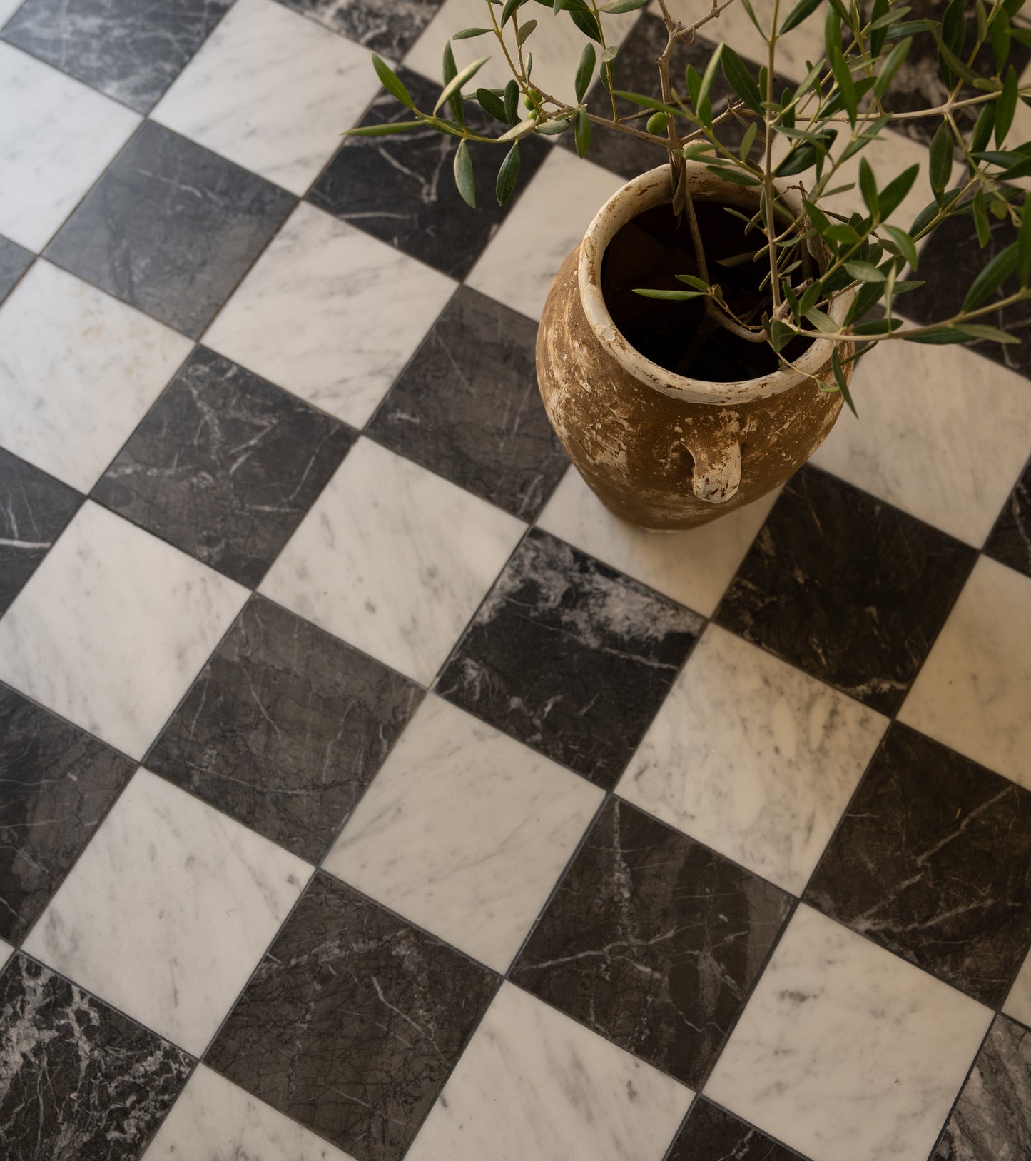 A rustic clay pot with green leafy branches rests on Zia Tiles Nero Marquina 6x6 black and white handmade tiles, highlighting the artisanal charm of the brand.