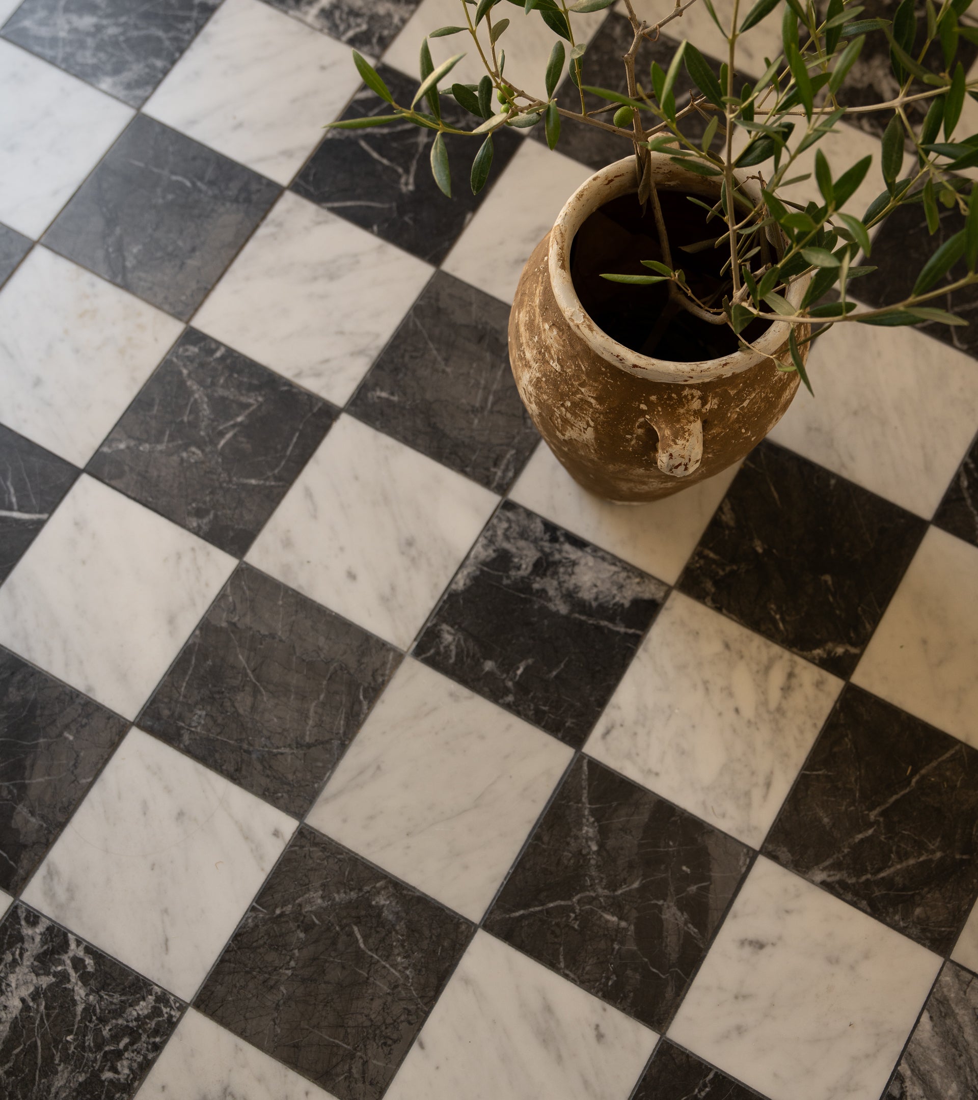 A rustic clay pot with green leafy branches rests on Zia Tiles Nero Marquina 6x6 black and white handmade tiles, highlighting the artisanal charm of the brand.