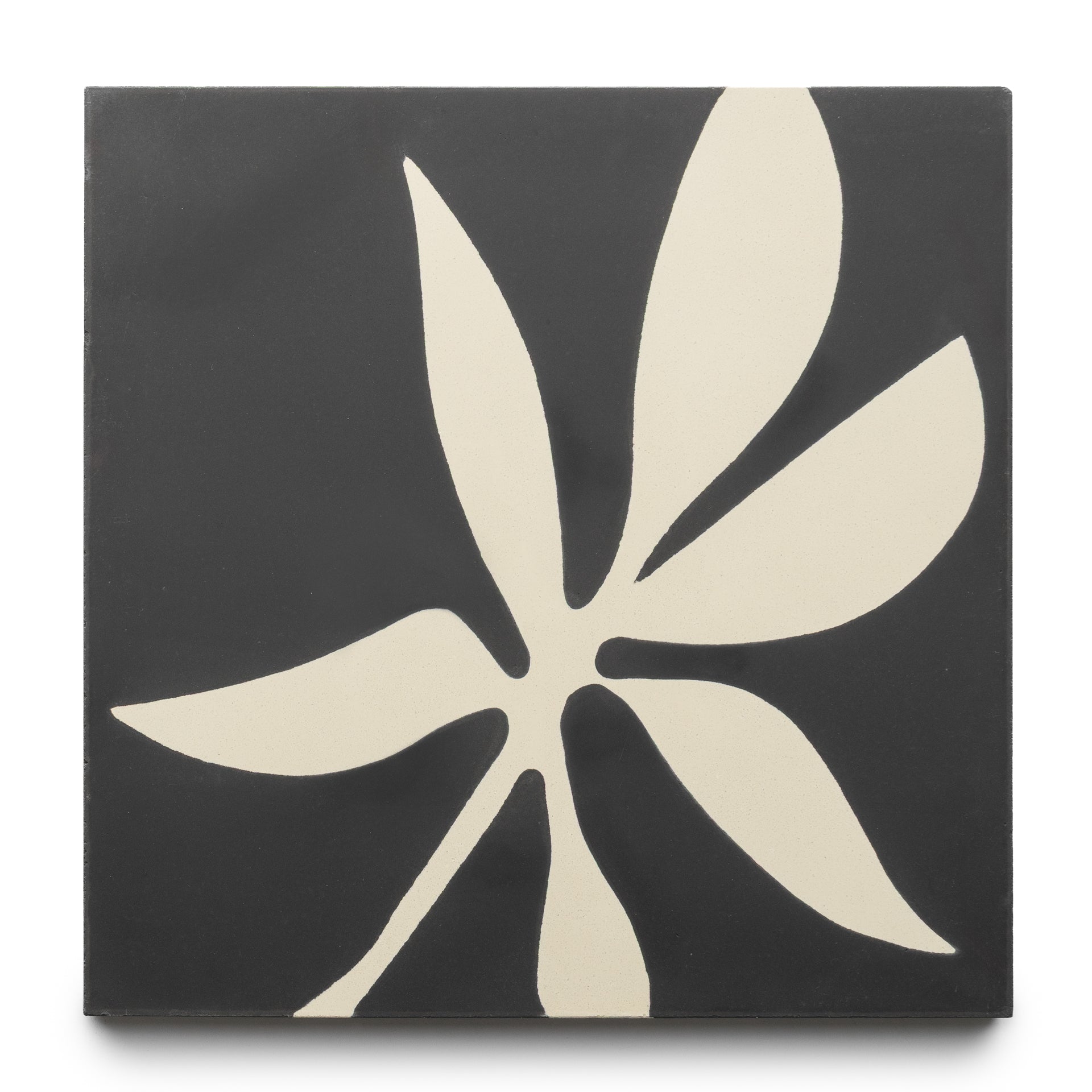 The Flora 8x8 Set Black + Bone by Zia Tile is a square tile showcasing a cream abstract six-leaf design on a dark gray background.