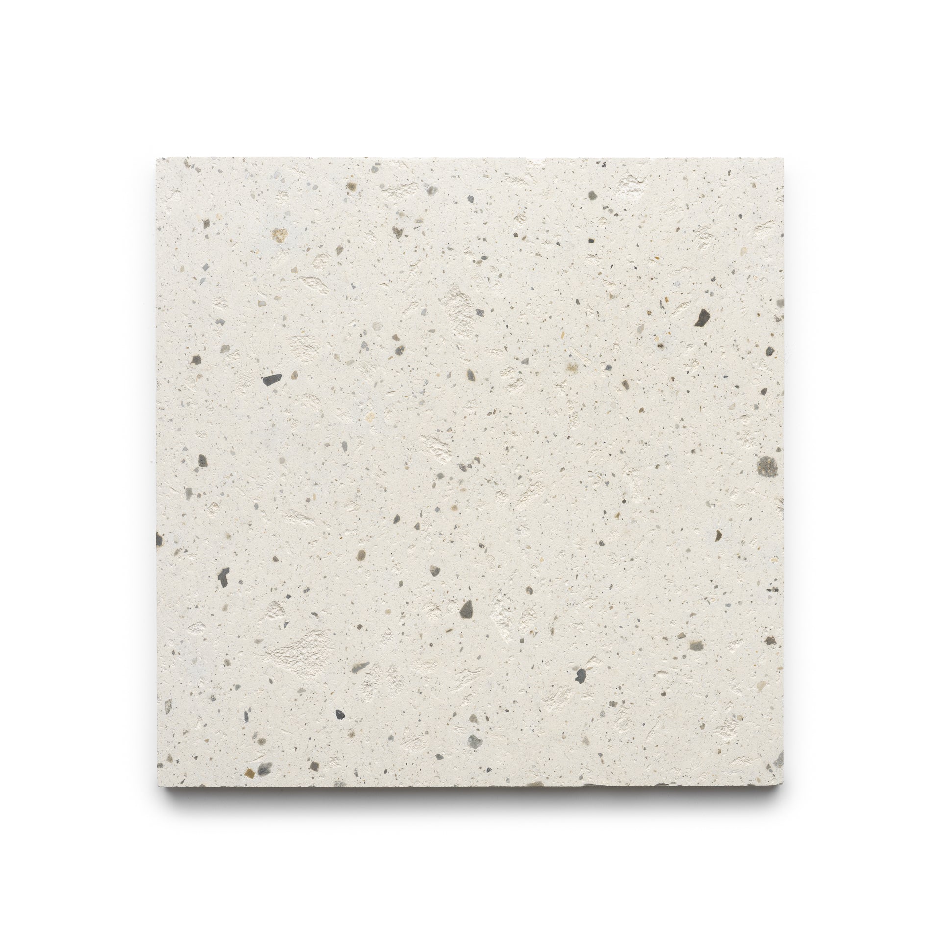 The Caldera 12x12 by Zia Tile is a square tile with a light beige, speckled surface featuring small, irregular gray and tan spots, shown on a white background.