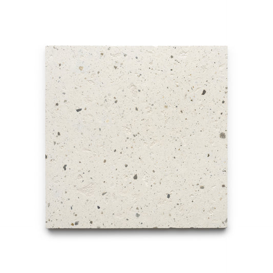The Caldera 12x12 by Zia Tile is a square tile with a light beige, speckled surface featuring small, irregular gray and tan spots, shown on a white background.