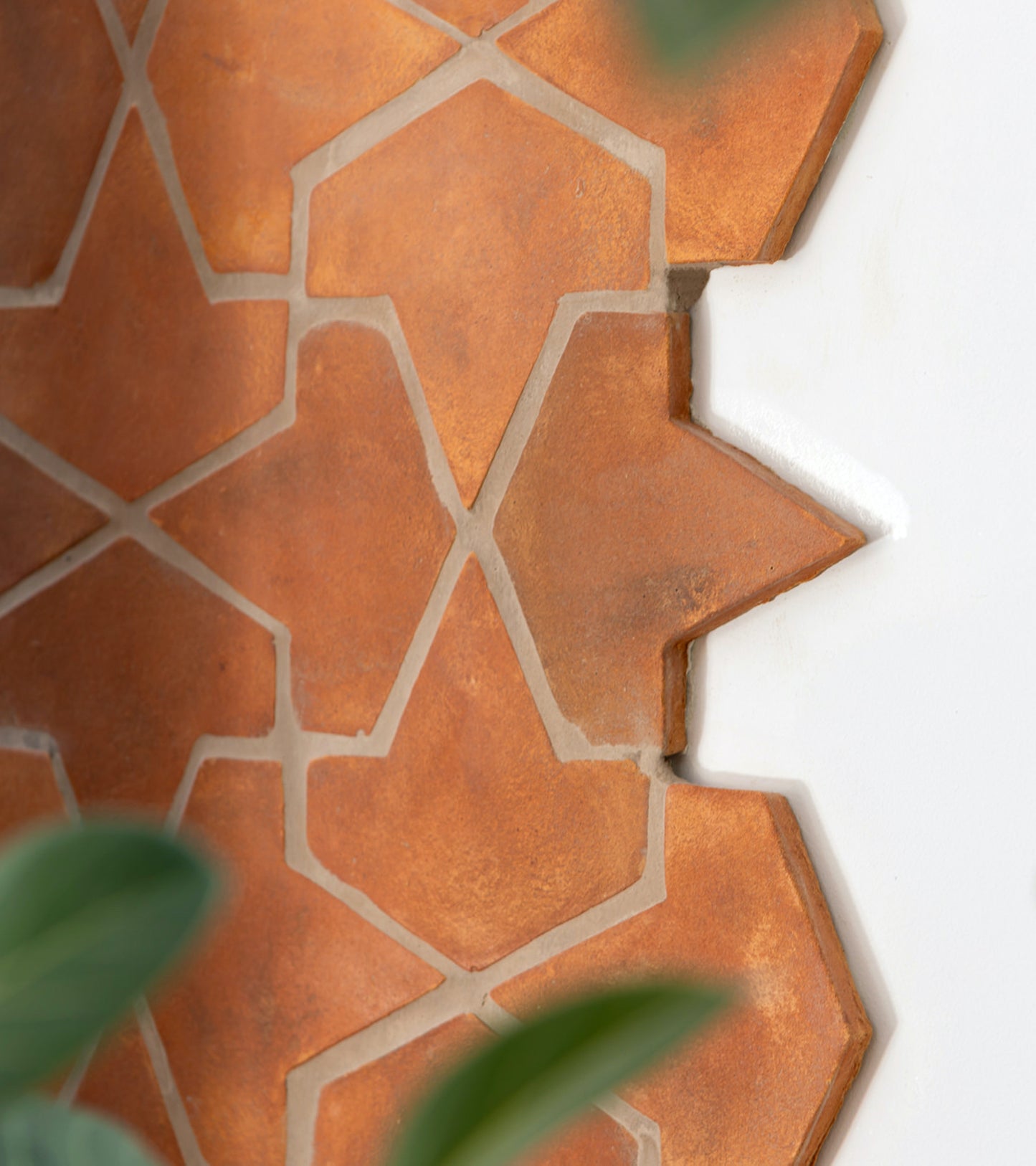 Alcazar + Fired Earth tiles by Zia Tile feature star-shaped terra cotta edges set against a white wall, with green leaves in the foreground, highlighting the handmade charm of this unique collection.