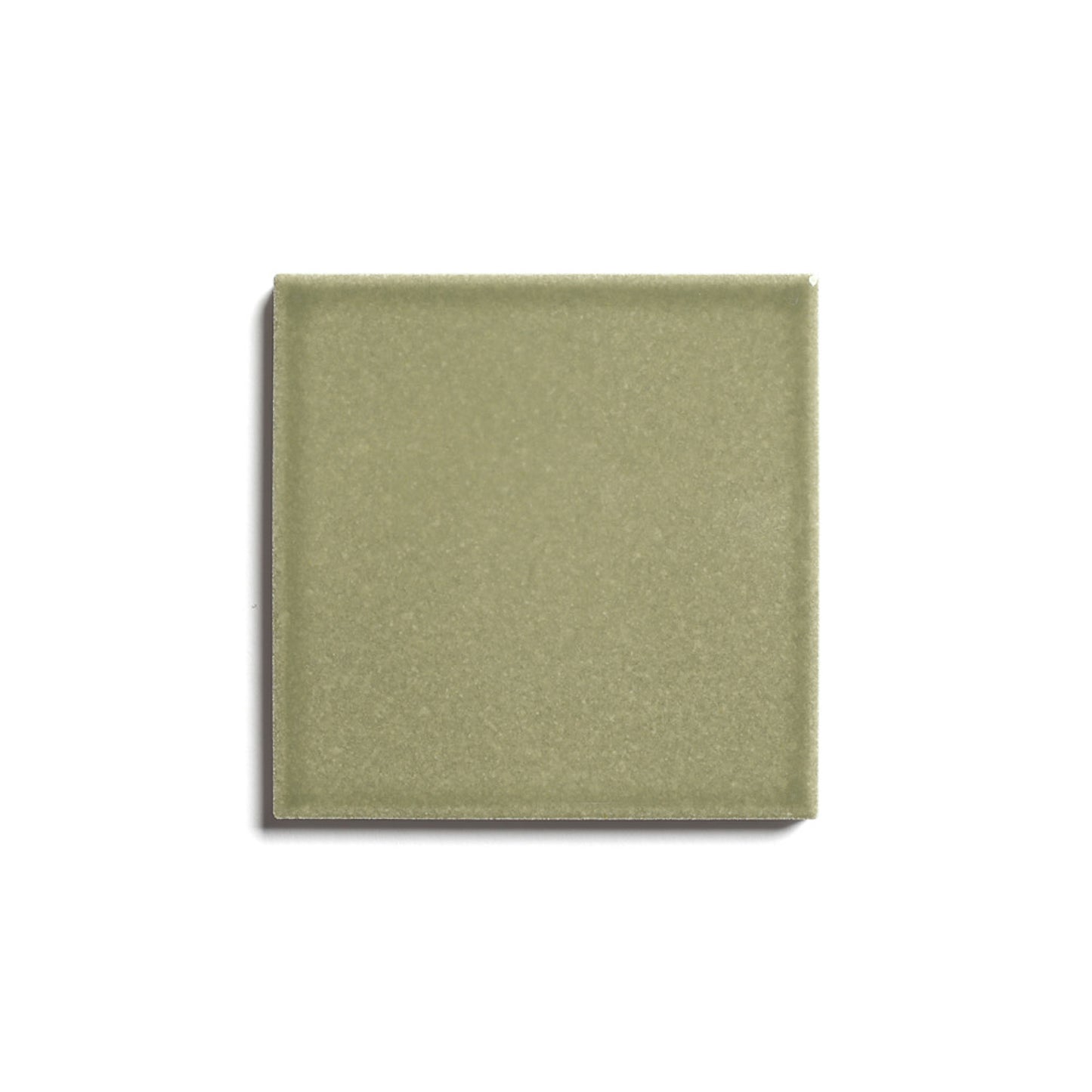 The Ponderosa 4x4 ceramic tile by Zia Tile, a square matte olive green tile, is centered on a white background with a faint shadow to the left.