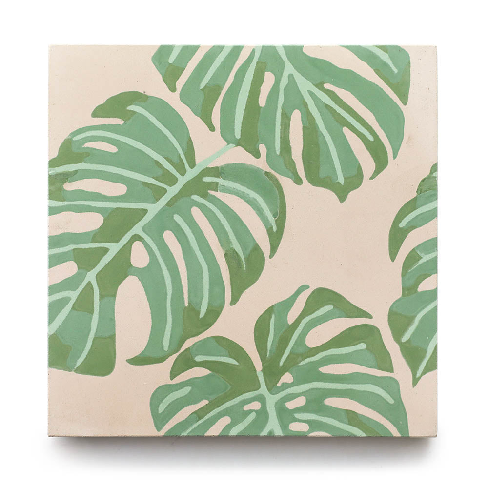 Monstera 8x8