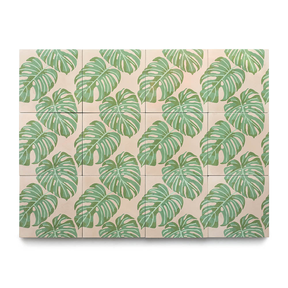 Monstera 8x8